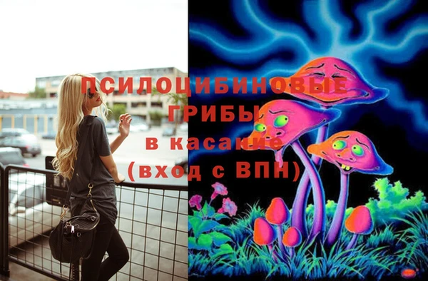 стаф Абинск