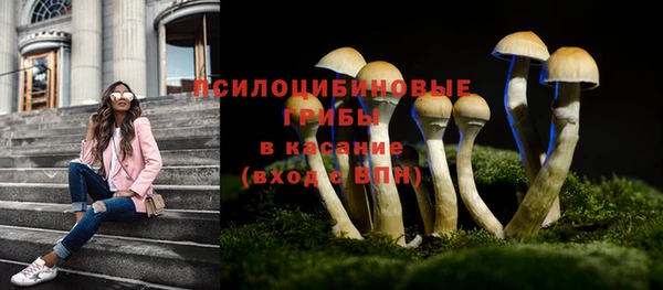 стаф Абинск