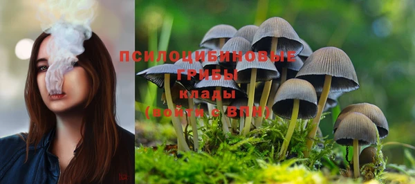 метадон Алексин